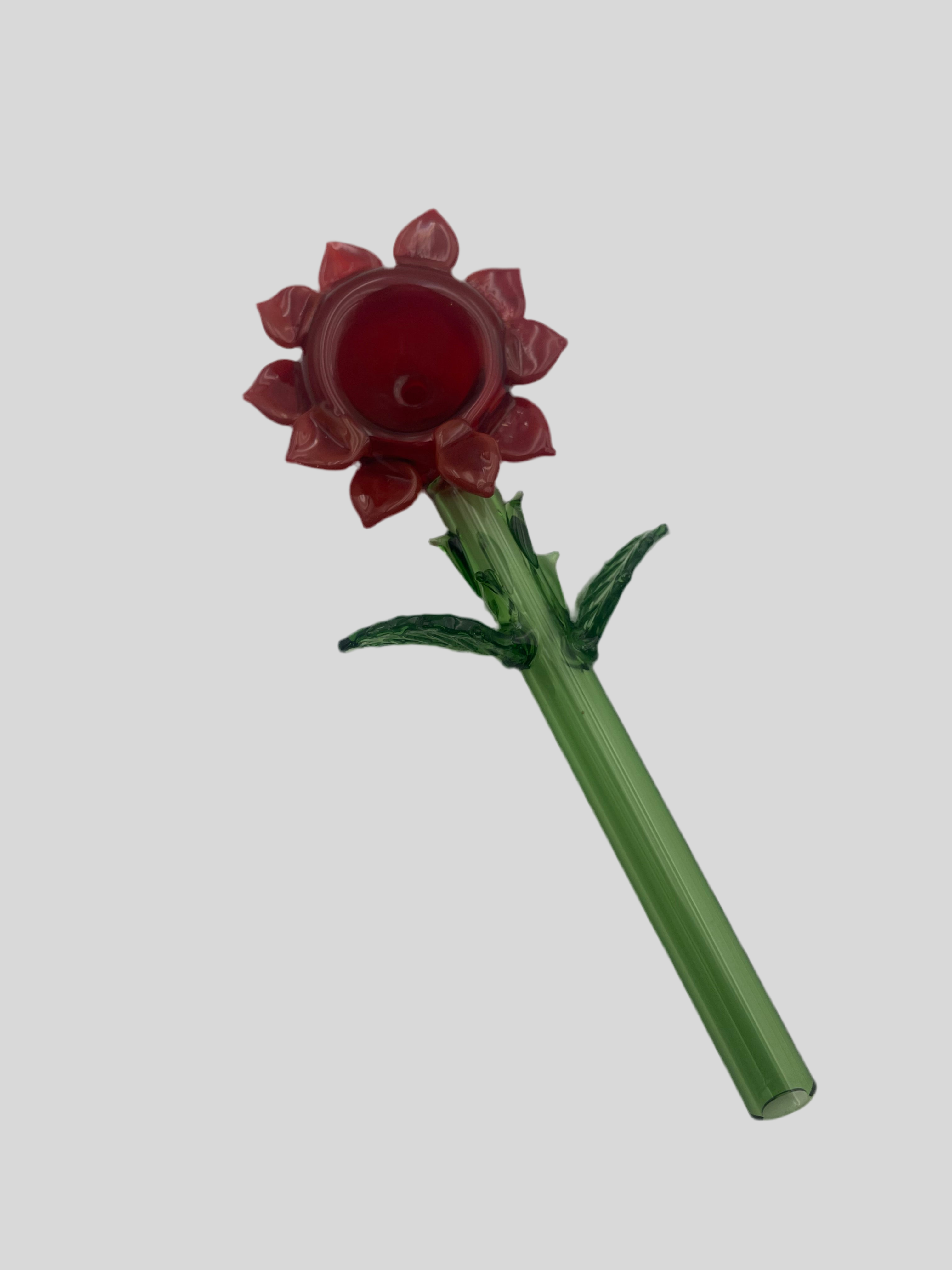 Collection of Rosa roja in a gallery layout